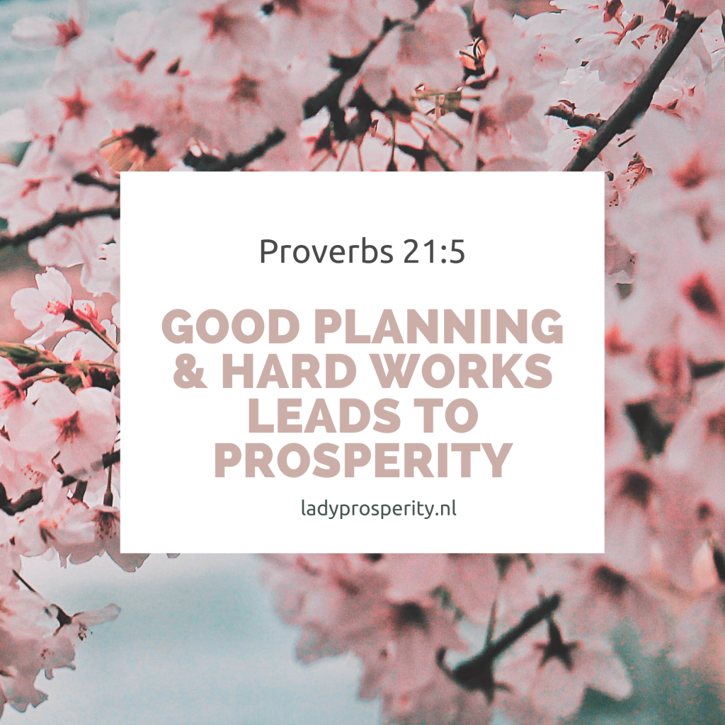 Proverbs 21:5 